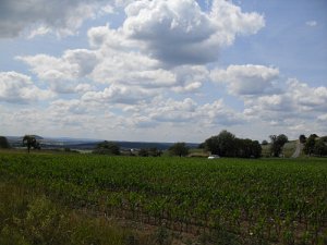 Rhoen-Radmarathon Nichtraucher 624